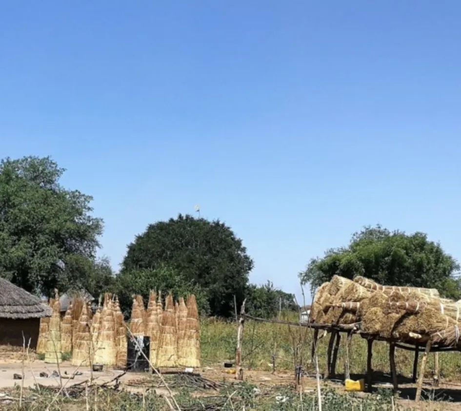 Mitarbeiter im Südsudan getötet: Strohhütten im Südsudan