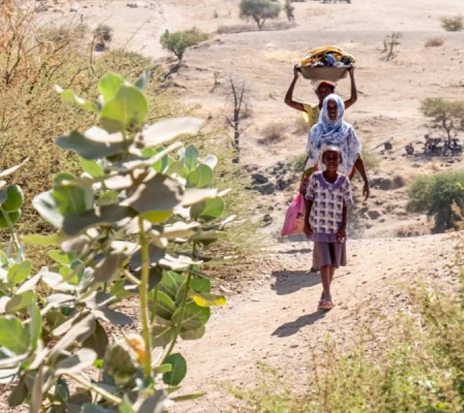 Notruf aus Tigray: Flüchtlinge tragen ihr weniges Gut auf dem Kopf