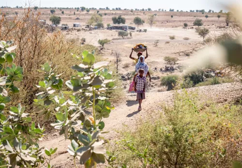 Noodkreet uit Tigray: Help ons!